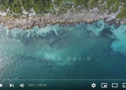 ocean oasis | deep focus for work and studying | reduce anxiety | beta binaural beats